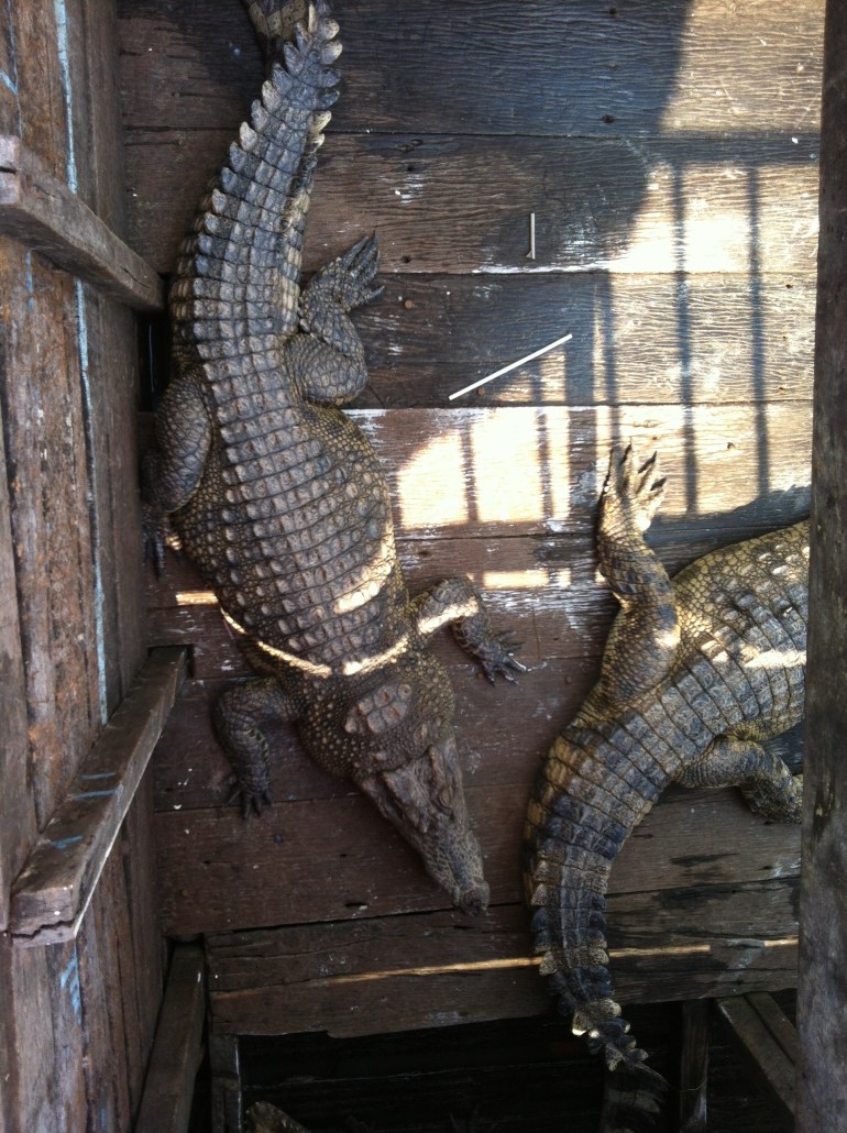 20130302-234736.jpg
